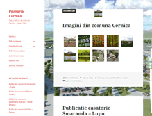Tablet Screenshot of cernica.judetulilfov.eu